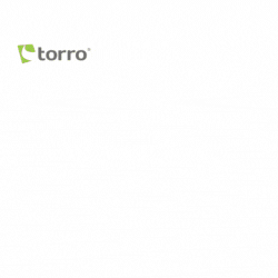 Torro